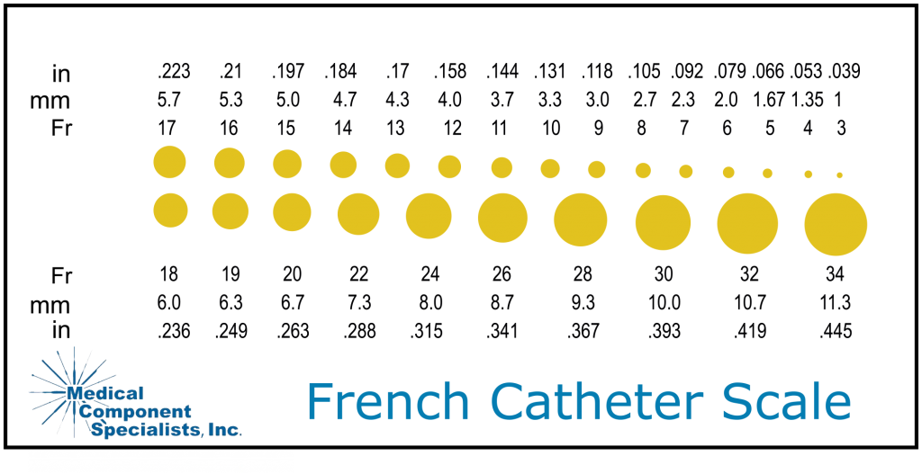 French Catheter Size Chart