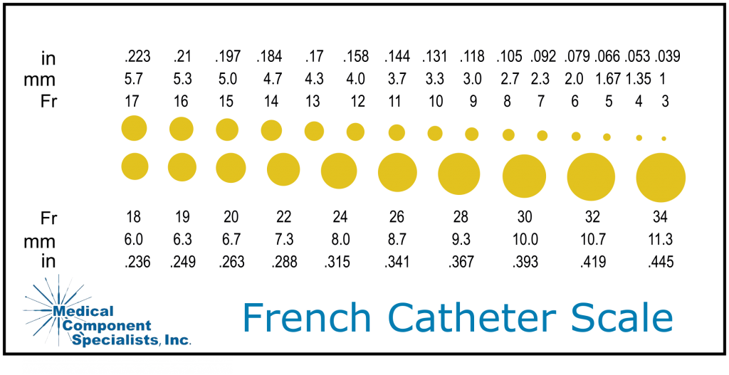 French Tube Sizes French Catheter Scale ETXOD